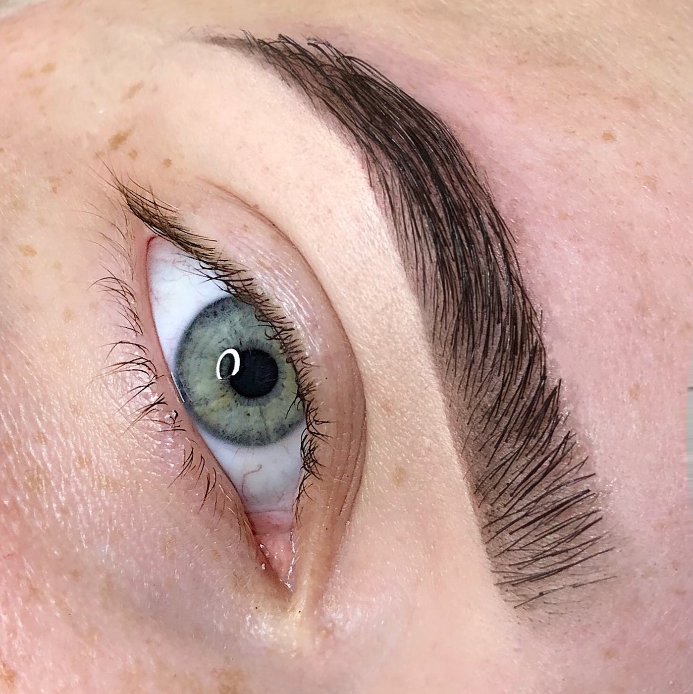 Gevormde wenkbrauw bij een groen oog